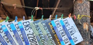 Decomisan placas falsas en taller de Ensenada. Placas falsas decomisadas en Baja California