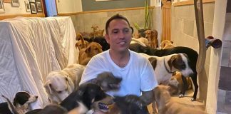 Dio refugio a cientos de perros en su hogar por huracán Delta. Ricardo Pimentel Cordero, rescatista de animales