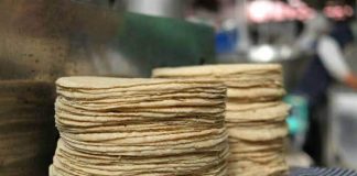 Precio de la tortilla no subirá: AMLO. Kilo de tortillas de maíz