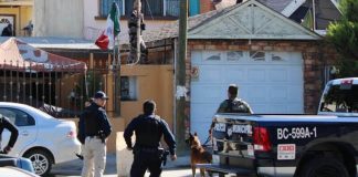 Asalto a joyería en 5 y 10 deja dos detenidos. Persecución de asaltantes en Tijuana