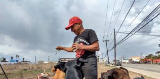 VIDEO: tiene 28 perros y dice que seguirá rescatando más. Efraín Campos, el Señor de los Perros