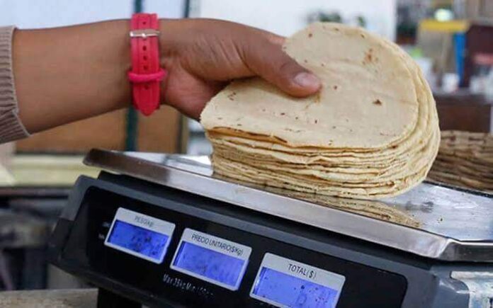 Kilo de tortilla de maíz Kilo de tortilla de maíz