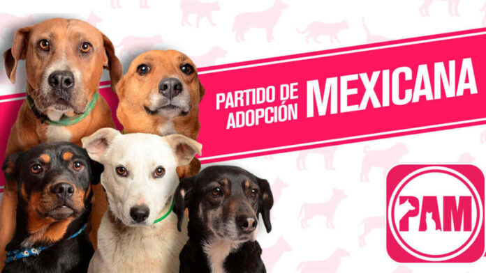 Partido de Adopción Mexicana PAM