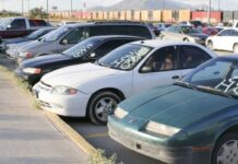 Noviembre tendrá saturación de importación de vehículos tras extensión de decreto. Venta de autos chocolate