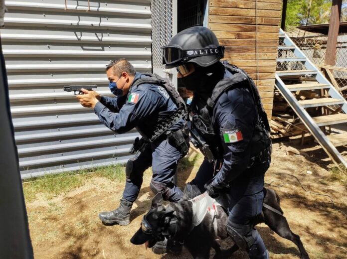 Entrenamiento de unidades K9