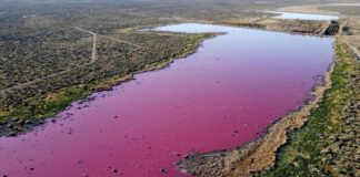 Esta es la laguna que cambia de color por contaminación en Argentina. Laguna rosa en Argentina