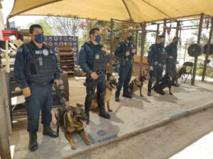 Policías K9 en Baja California