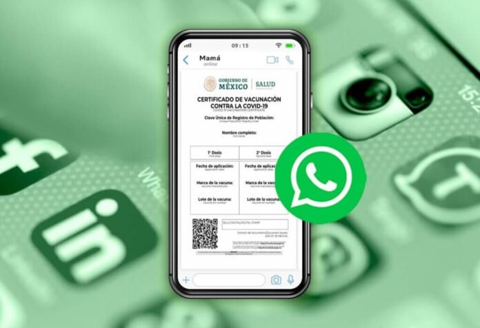 Ahora puedes descargar tu certificado de vacunación por Whatsapp Ahora puedes descargar tu certificado de vacunación por Whatsapp