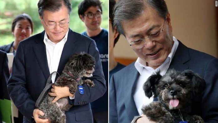 Moon Jae-in, presidente de Corea del Sur, propone prohibir el consumo de carne de perro
