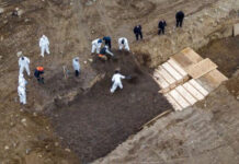 Hasta 10 mil cuerpos sin identificar serían clave para casos de desaparición en B.C. Fosa común en México
