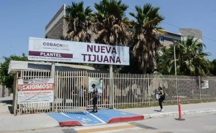 Cobach Baja California Cobach Baja California
