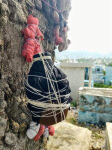 En los árboles abundan los muñecos vudú