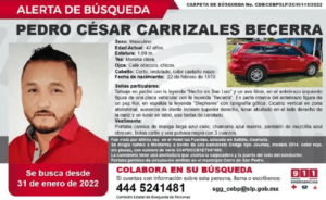 Ficha de búsqueda de El Mijis