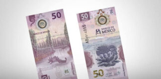 Billete mexicano gana premio al mejor del año. Billete de 50 pesos mexicano
