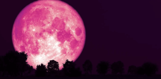 La luna llena rosa llegará este fin de semana. Luna Rosa