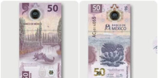 Billete del “ajolotito” se vende hasta en 45 mil pesos. Billete de 50 pesos en México