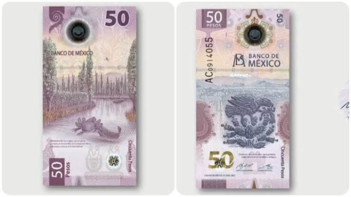 Billete de 50 pesos en México