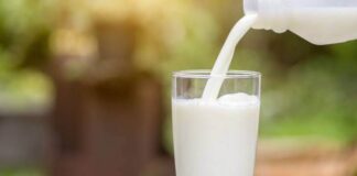 Alerta Profeco por “leches” que no son de vaca en México. Leche