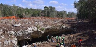 Juez suspende definitivamente obras del tramo 5 del Tren Maya. Suspenden construcción del tramo 5 del Tren Maya