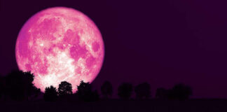 Hoy hay luna de fresa que marca el inicio del verano. Luna fresa