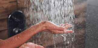 Bañarse diario puede ser perjudicial: Harvard. Agua en regadera