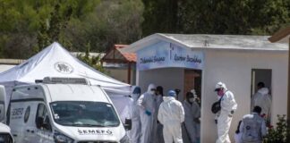 Exhuman cuerpo de Debanhi para una tercera autopsia. Tumba de Debanhi Escobar