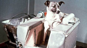 Laika, fue al espacio en 1957