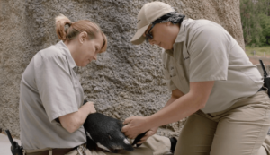 Personal del San Diego Zoo