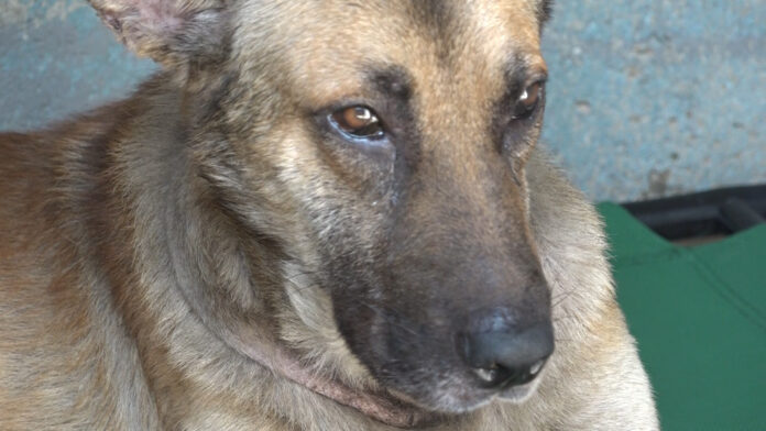 Duke señalado como probable responsable de la muerte del niño Edwin Ángel en Tijuana