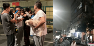 Otro fuerte sismo azotó al centro de México esta madrugada. Otro fuerte sismo azotó al centro de México esta madrugada