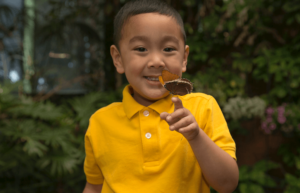 Llega la primavera al San Diego Zoo Safari Park