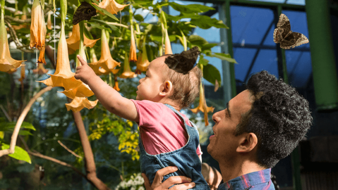 Primavera en el San Diego Zoo Safari Park