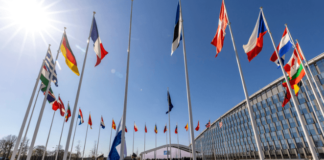 Rusia anuncia medidas tras la entrada de Finlandia a La OTAN. Banderas integrantes de la OTAN