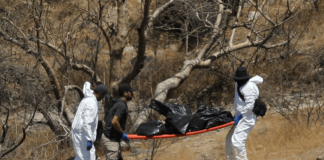 Encontraron en fosas a jóvenes de call center desaparecidos. Encontraron en fosas a jóvenes de call center desaparecidos