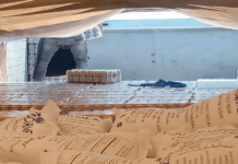 VIDEO: Así era el cargamento de cerveza pirata detectado en México. Así era el cargamento de cerveza pirata detectado en México