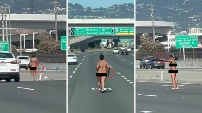 Mujer desnuda disparó contra automóviles en freeway de California