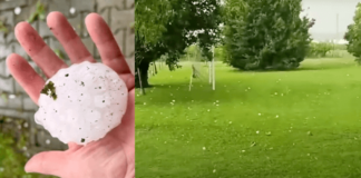 VIDEO: Sorprende caída de granizos del tamaño de pelotas de tenis en Italia. Sorprende a Italia caída de granizos del tamaño de pelotas de tenis