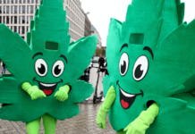 Alemania legalizará el consumo y cultivo de cannabis. Alemania legalizará el consumo y cultivo de cannabis