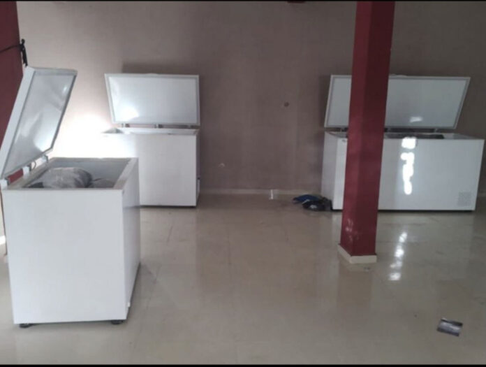 Encuentran cuerpos en Veracruz