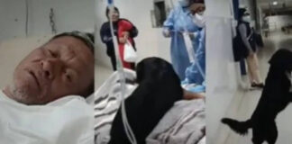 VIDEO: Hombre desahuciado pide que adopten a su perrito. Hombre desahuciado pide que adopten a su perrito