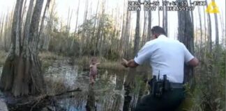 VIDEO: Encuentran a niña que se perdió en los pantanos de Tampa. Encuentran a niña de 5 años que se perdió en los pantanos de Tampa
