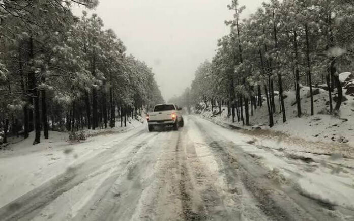 Así nevó en las montañas de Baja California