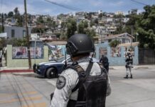 Mujer fue asesinada en Tijuana, presuntamente por su pareja. Mujer fue asesinada en Tijuana, presuntamente por su pareja