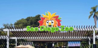 VIDEO: San Diego Zoo pide ayuda urgente a la población de esta frontera.