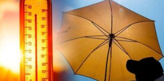 México rebasa los 100 fallecidos por la ola de calor en este 2024. México rebasa los 100 fallecidos por ola de calor en 2024