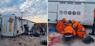 Chofer y copiloto de autobús volcado en San Felipe estaban alcoholizados: Fiscalía. Chofer y copiloto del autobús volcado en San Felipe ingerían bebidas alcohólicas al volante