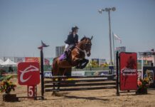 Se celebró la edición 34 del Clásico Internacional de Salto en Club Hípico Caliente. Clásico Internacional de Salto Caliente 2024