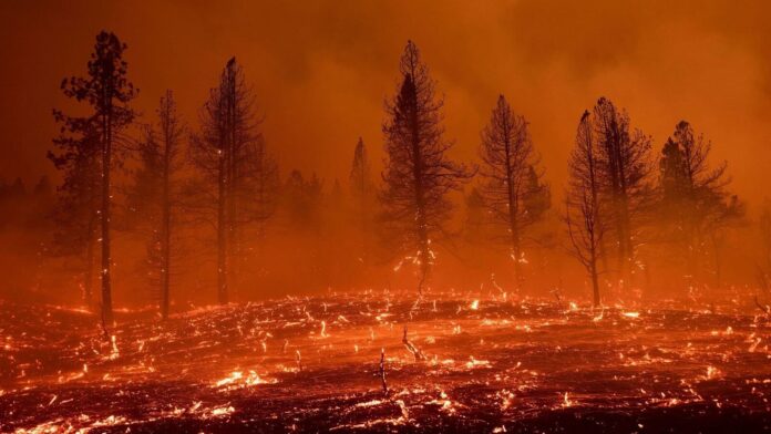 Incendios en California