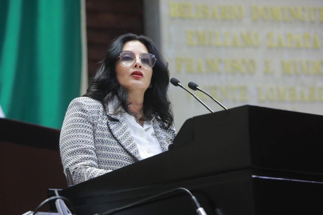 Diputada federal Erika Santana