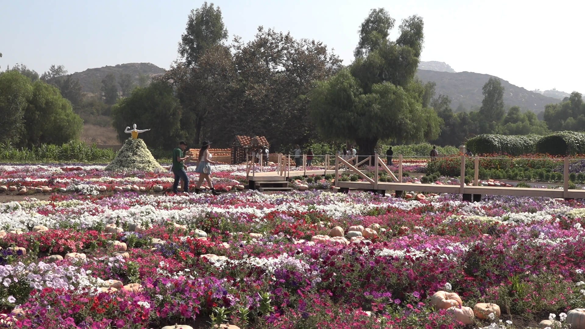 Paisajes de la ruta del maíz